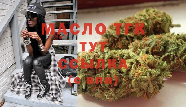индика Новодвинск