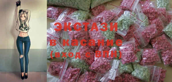индика Новодвинск