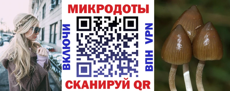OMG как зайти  Южноуральск  Псилоцибиновые грибы мицелий 